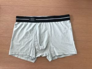 Micromodal Boxer Brief